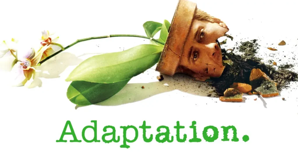 Adaptation